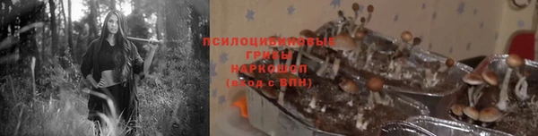 кокаин колумбия Инсар